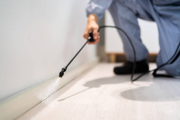 Professional exterminator conducting IPM assessment in Geneva